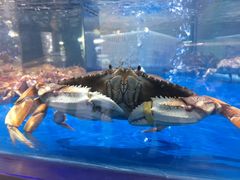 -盒马鲜生(悦峰店)