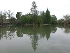 -桤木河湿地公园