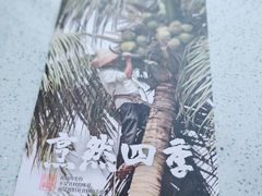 -烹然四季椰子鸡火锅(团结湖总店)