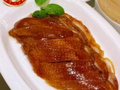 -正院大宅门烤鸭(首体店)