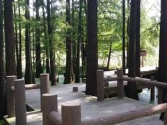 -东湖落雁景区
