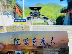 -大唐贡茶院