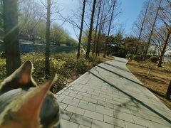 -元大都城垣遗址公园