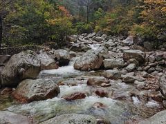 -青峰峡国家森林公园