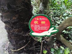 -呀诺达热带雨林
