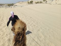 -库伦旗银沙湾旅游景区