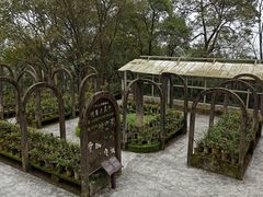 -南山植物园