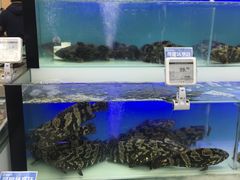 -盒马鲜生(宝地店)