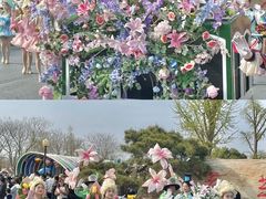 -荷兰花海