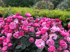 -杭州城北体育公园