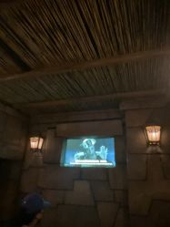 -翱翔飞越地平线