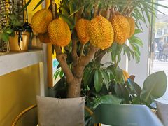 -猫王榴莲世家(三里屯SOHO商场店)