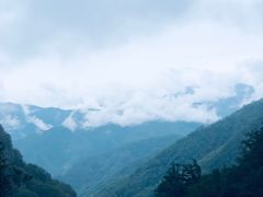 -牛背梁国家森林公园