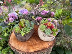 -武汉园博园(武汉自然博物馆)