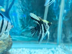 -秦皇岛新澳海底世界