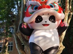 -西安电影制片厂