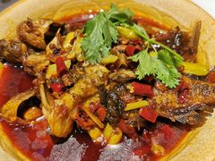 -红辣椒·川菜·火锅(张杨路店)