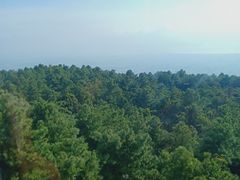 -苍山感通索道