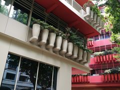 -上海市黄浦区卢湾第一中心小学