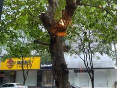 -古京·臻致料理(月湖店)