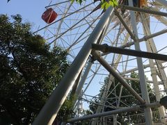 -西安市长乐公园