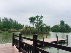 -白鹭湾湿地公园