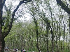 -西溪南古村落