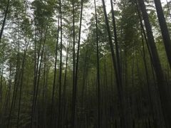 -南山风景名胜区
