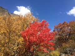 -叠溪松坪沟景区