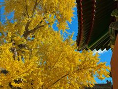 -承恩寺