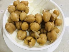 -老周记顺德双皮奶