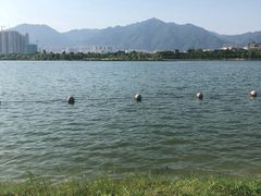 -飞来湖湿地公园