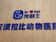 -宠颐生汉谟拉比宠物医院