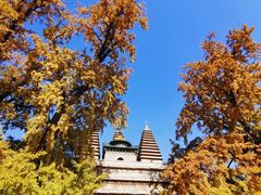 -北京石刻艺术博物馆(五塔寺)