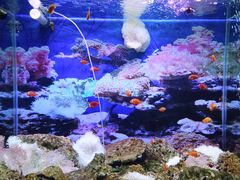 -泉州海丝野生动物世界