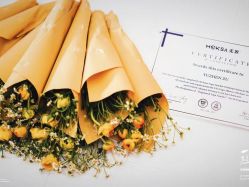 -无界瑜伽普拉提