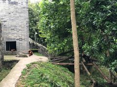 -都江堰中华大熊猫苑