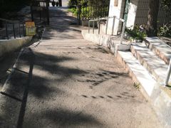 -风车面包