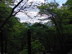 -王顺山国家森林公园
