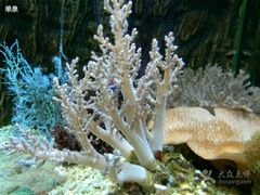 android_upload_pic-北戴河圣蓝海洋公园