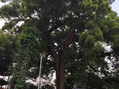 -杭州宋城