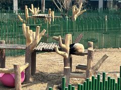 -沈阳森林动物园
