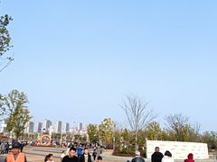 -九龙湖公园