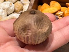 -春满园·早茶·粤菜·宴会(粤海店)