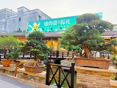 -猪肉婆私房菜(容桂总店)