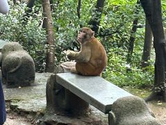 -黔灵山公园