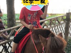 -天目湖山水园