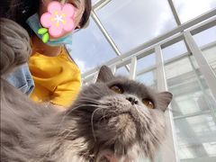 -VOYAGE COFFEE(北锣鼓巷店)