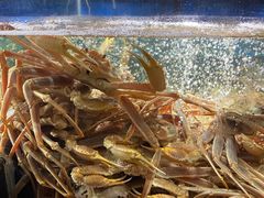 -徐记海鲜(大明宫|北二环店)