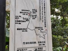 -广州市石门国家森林公园